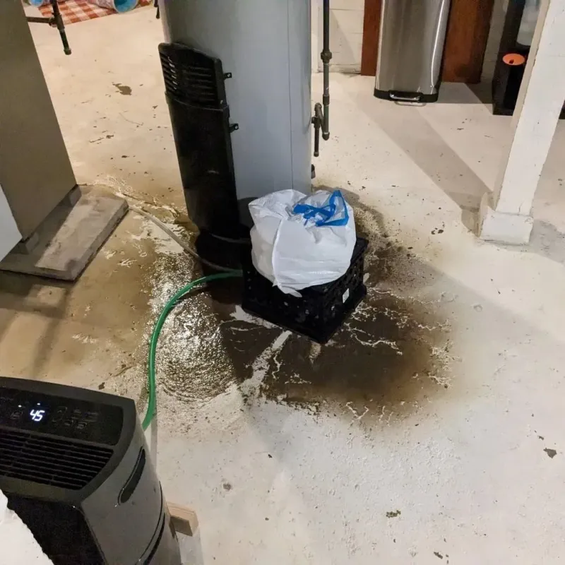 Sewage Backup Cleanup Service in Sedco Hills, CA